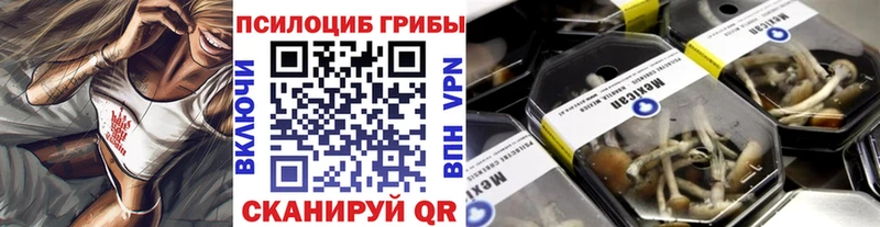 Псилоцибиновые грибы Psilocybe  Ухта 